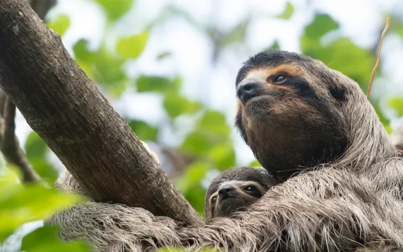 Photos courtesy of Sam Trull.