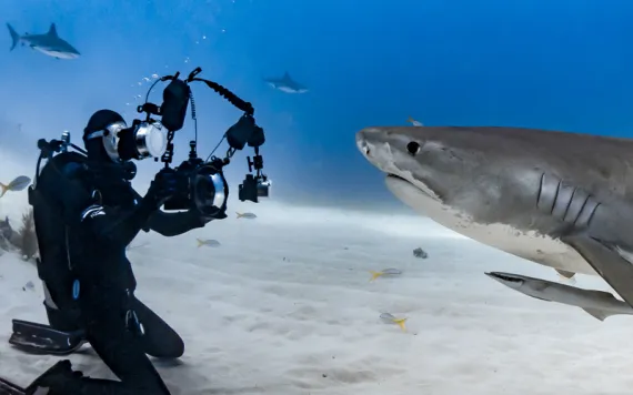 Photo by Tanya Houppermans 