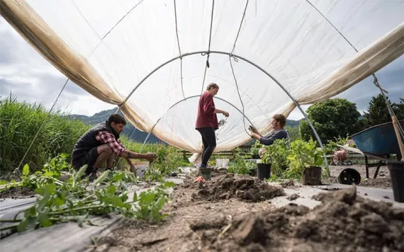 Photos courtesy of Worldwide Opportunities on Organic Farms (WWOOF)