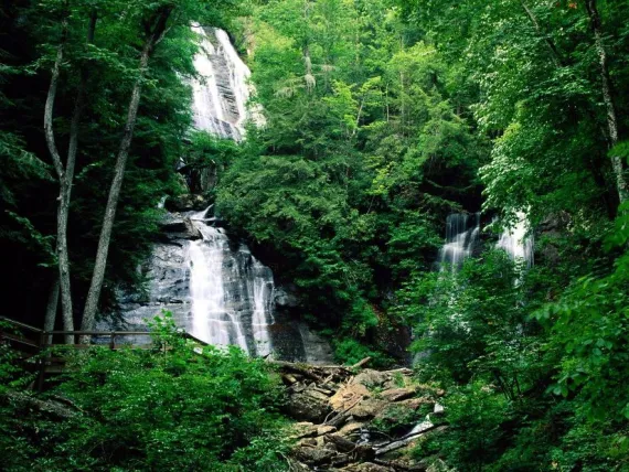Chattahoochee National Forest