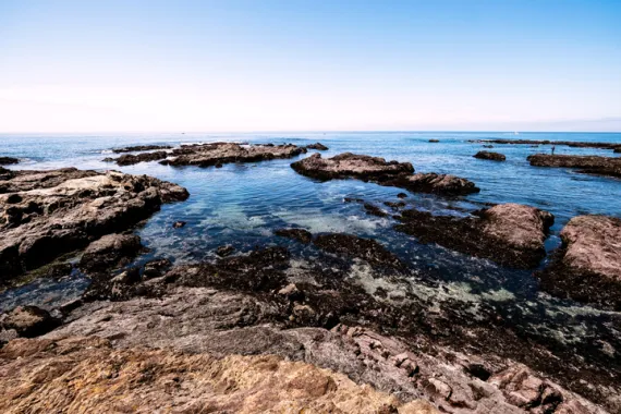 California tidal region