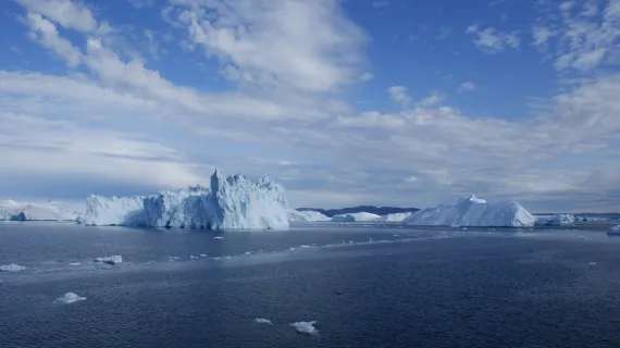 Disko Bay Icebergs