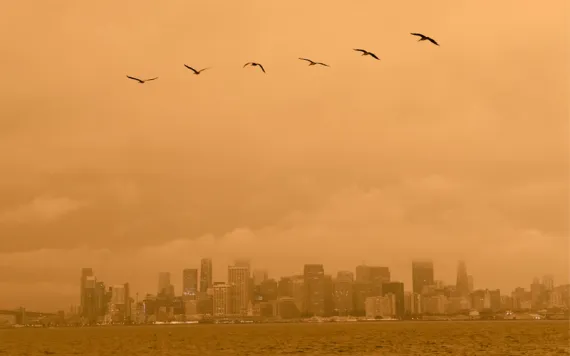 Smoke from wildfires in California covers buildings on the San Francisco skyline. Photographer: Michael Short/Bloomberg