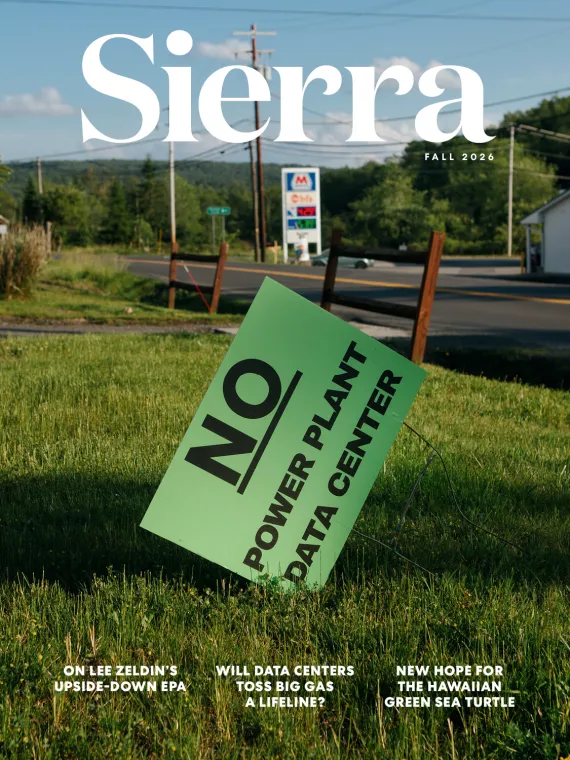 Sierra Magazine Fall 2026 Issue