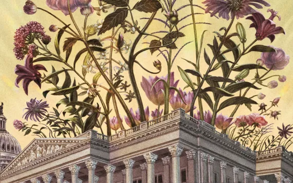 Illustration shows pink flowers growing out of a capitol building, with a bird and butterflies above.