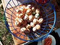 Student photographer Gabriel Oxhorn, 15, got up early on his last day at Pie Ranch, milked the farm's goats, and then snapped a picture of the eggs his classmates had gathered (and later boiled and ate).