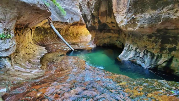 The Subway, Zion National Park, Utah