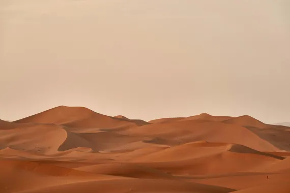 desert