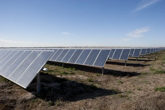 Image of a solar farm with several panels in a field with blue sky.
