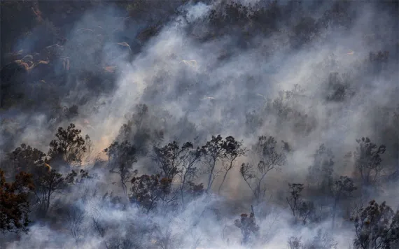 Smoke Rises During A Wildfire. | Photo by Ethan Swope/Bloomberg