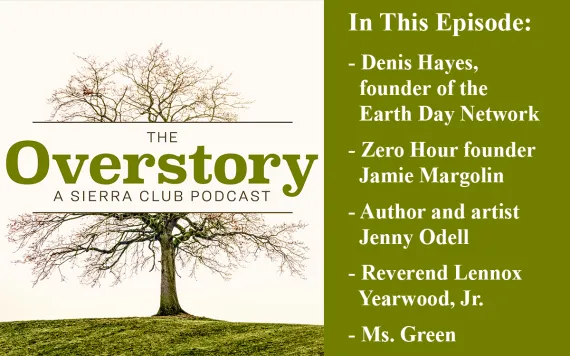 The Overstory