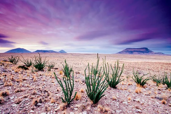 ''The sky and land appear to be painted on a vast canvas in a way that forces the eye to focus afar.'' | Darren Huski