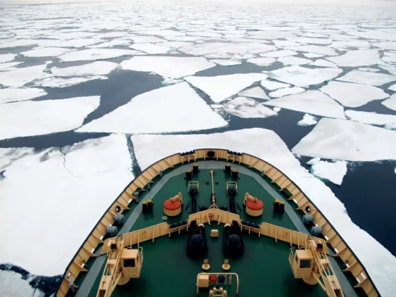 Turns out there's more life in Antarctica than we thought.