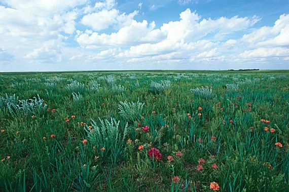 Near the Nebraska-Colorado border, an early-summer High Plains mosaic stretches to the sky. | Photo by Michael Forsberg