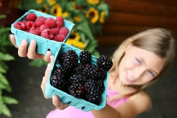 Green your kids' snacks with ecofriendly alternatives