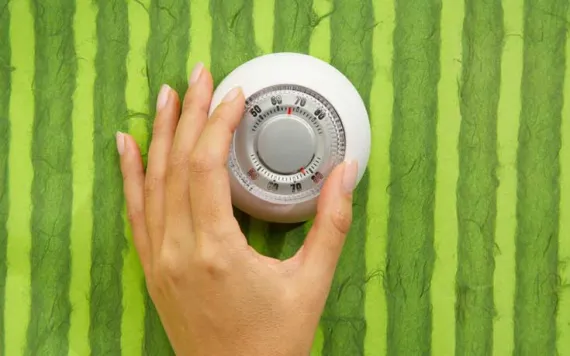Reheat or keep warm? Mr. Green has the answer!