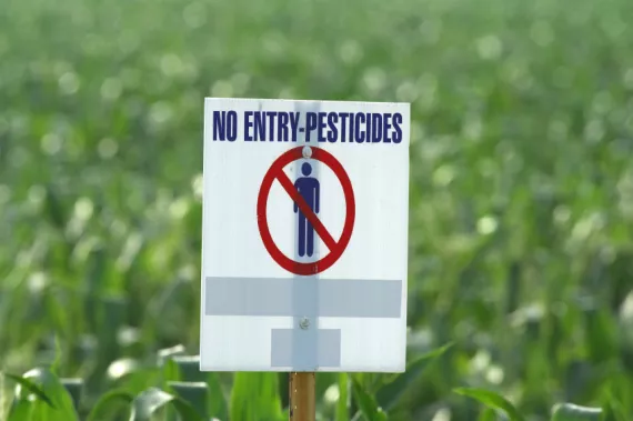 The word “pesticide” is now commonly applied  both to herbicides and pesticides.