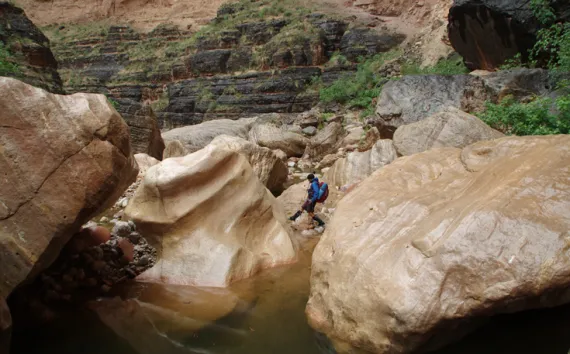 Protecting the watershed that supports Grand Canyon National Park