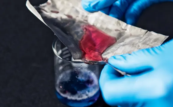 An alternative to chemical dispersants for cleaning up oil spills: Mesh captures oil (red) at Ohio State University.