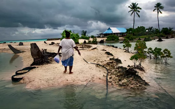 High tides mean big trouble for Kiribati's overcrowded atolls. Frequent flooding has killed off many coconut trees, a major source of residents' food and income. 