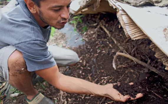 Danny Bishop stands atop the remnants of ancient taro complexes in Punalu'u, Oahu.
