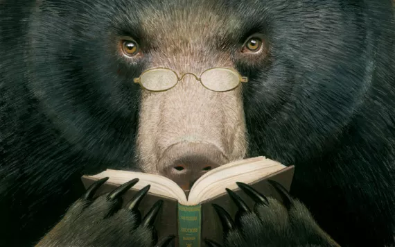 Illustration of a bear with glasses reading a book.