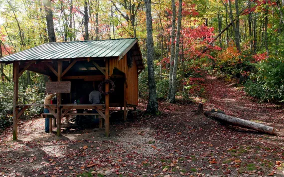 The Pine Mountain State Scenic Trail traces a portion of a 125-mile fault block through one of the largest unbroken forests in Kentucky.