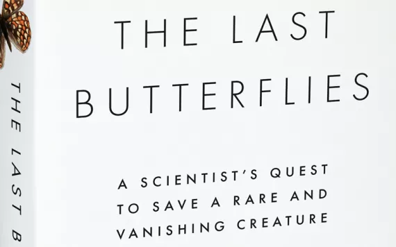The Last Butterflies