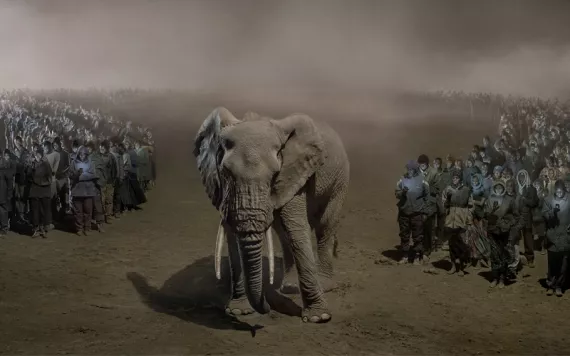In River of People With Elephant at Night, an elephant stands in between two lines of people, all looking down at their phones.