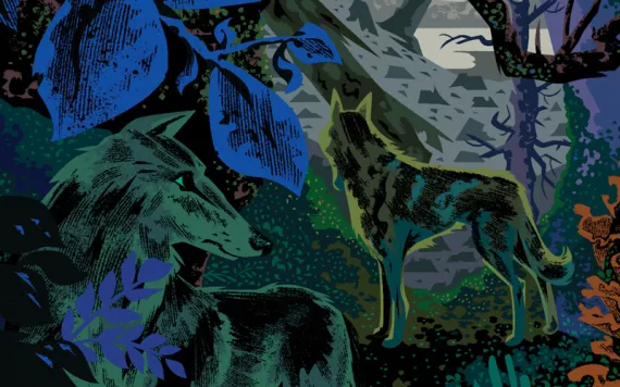 Illustration of two wolves in the dense, dark Tongass rainforest.