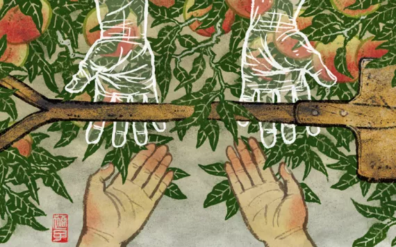 Illustration by Yuko Shimizu