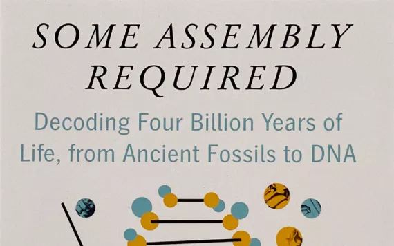 Some Assembly Required