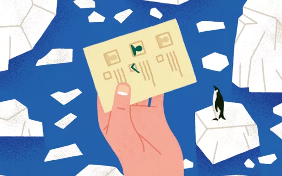 Illustration shows an ocean and icebergs, one with a penguin. A hand holds up a ballot with three options, one checked.