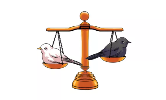 Illustration shows a scale with a white bird on the left (slightly lower) and a black bird on the right (higher).