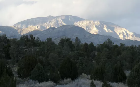 Sunlight hits rocky mountaintops in the background. The forested foreground is dark.