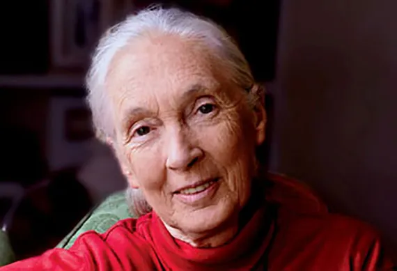 Jane Goodall