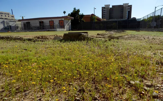Esperanza Elementary