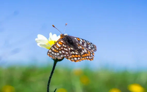 Photo by iStock-Sundry Photography 