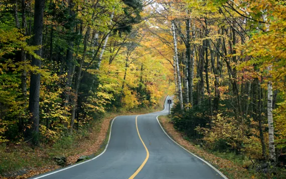 Winding paved road in Vermont surrounded by red and green and yellow fall foliage.