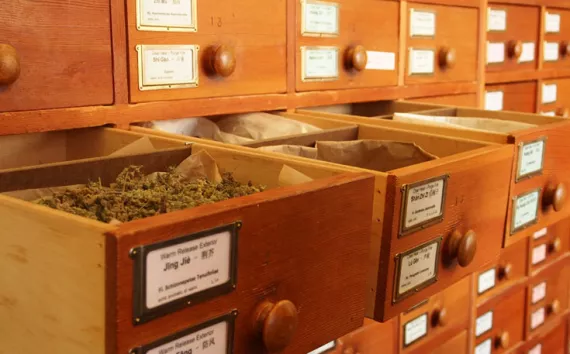 The American College of Traditional Chinese Medicine