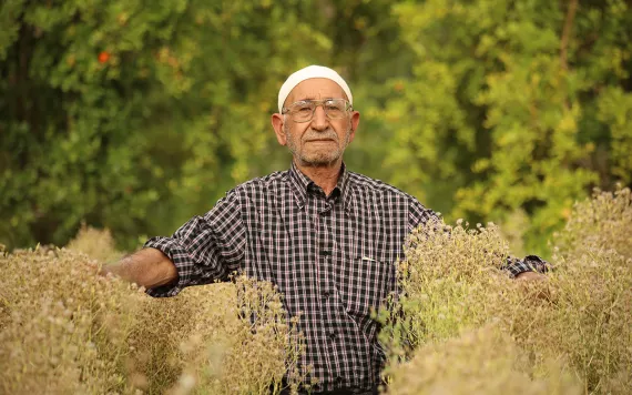 Tunisan man in a white hat and checked shirt surrounded by wild, dry, spindly plants that he's let go to seed.