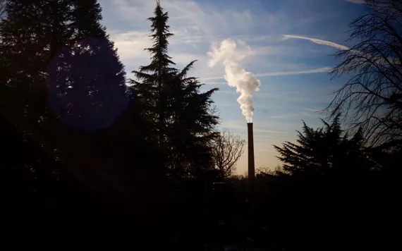 image of a smokestack between a grove of trees