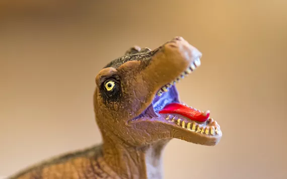 Close-up of brownish green plastic dinosaur with teeth bared.