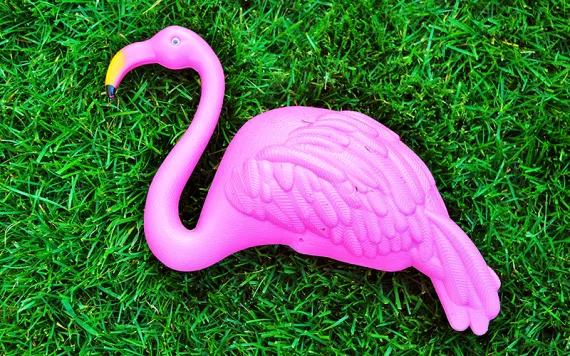 Pink flamingo as seen from above lying side down in a patch of bright green grass