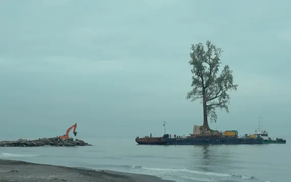 Very big tree on a barge sailing through a sea of calm blue water.
