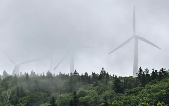 Wind turbines are shrouded in mist. Below them is lush green forest.