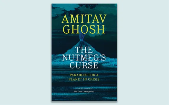 The Nutmeg's Curse