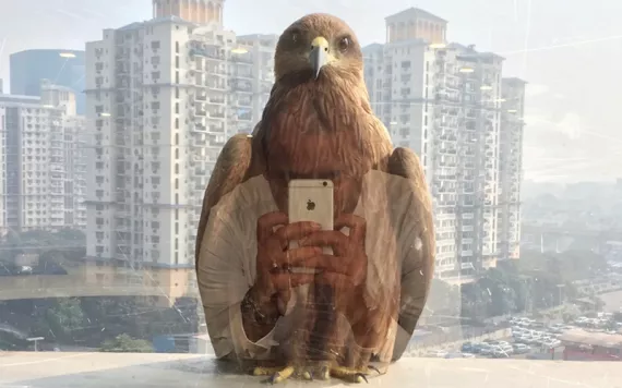 A brown bird sits on a window ledge looking at the person taking a photo of it on his phone. In the reflection, it looks as if the bird is holding the phone. In the background are tall white apartment complexes.
