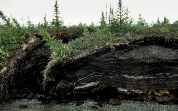 Close-up of a riverbank eroding