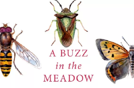 We review "A Buzz in the Meadow: The Natural History of a French Farm" by Dave Goulson.